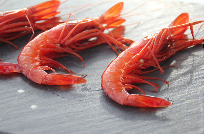 gambas de Palamós