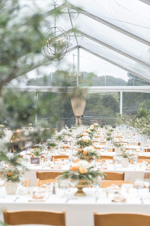 bodas bajo la lluvia carpas